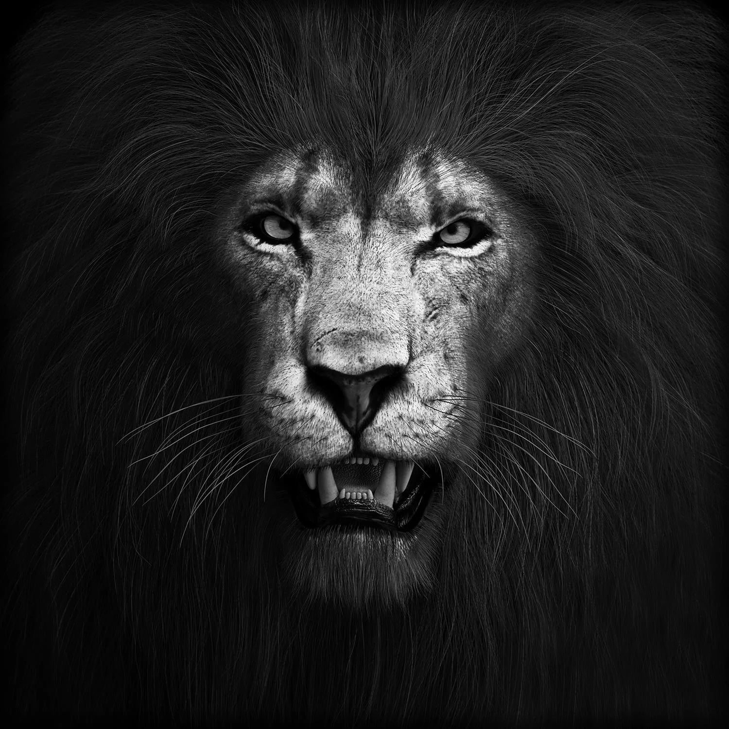Black/White Artwork