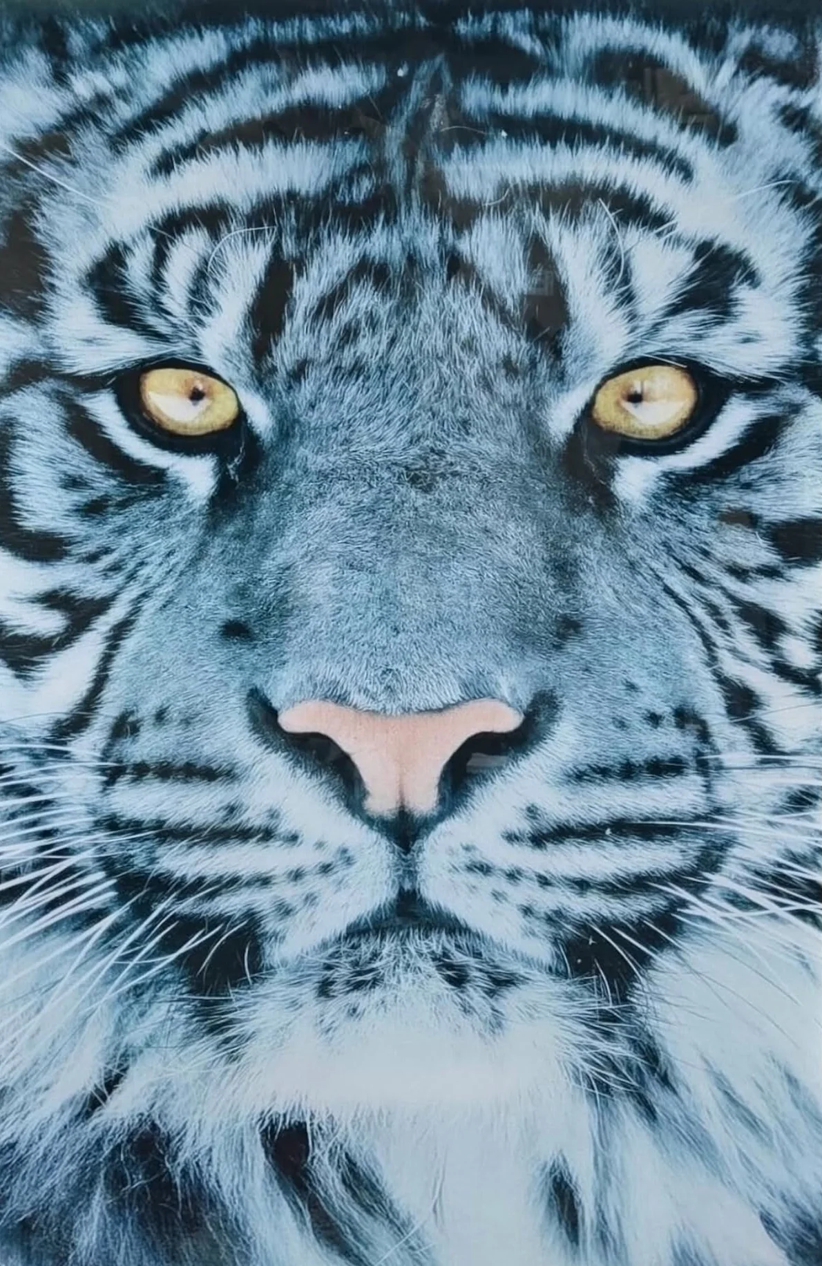 Tempered Glass Artwork Choose Your Style! - Image 5